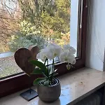 شقة Lichtdurchflutete كمبتن