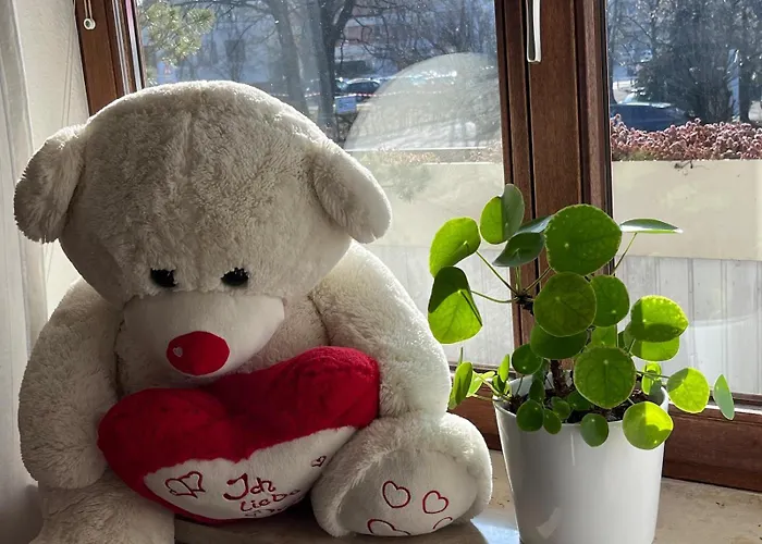 Lichtdurchflutete *